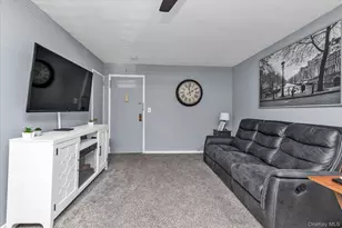 195 N Village Ave, Rockville Centre, NY 11570 - Photo 10