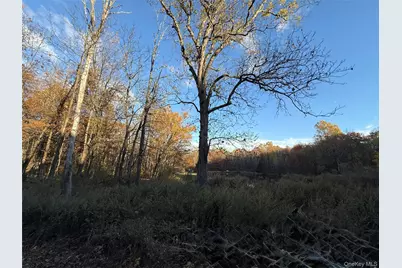 118 Old Roosa Gap Road, Bloomingburg, NY 12721 - Photo 20