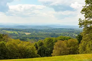 119-125 Butts Hollow Rd, Millbrook, NY 12545 - Photo 30