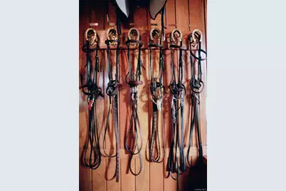 121-125 Butts Hollow Road, Millbrook, NY 12545 - Photo 22