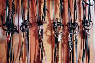 119-125 Butts Hollow Rd, Millbrook, NY 12545 - Photo 22