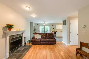 3 Lisa Ct, Patterson, NY 12563 - Photo 22