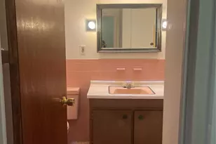 265-07 Hillside Ave., Floral Park, NY 11004 - Photo 14