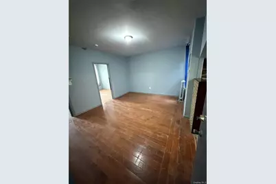 293 Saratoga Avenue #2, Brooklyn, NY 11233 - Photo 2