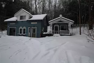 446 Shandelee Rd, Livingston Manor, NY 12758 - Photo 10