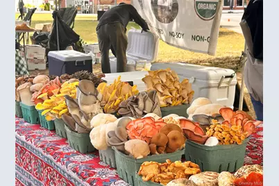 549 Piermont Avenue, Piermont, NY 10968 - Photo 30