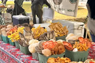 549 Piermont Ave, Piermont, NY 10968 - Photo 30