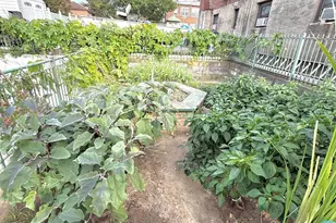 122-14 25th Ave, College Point, NY 11356 - Photo 12