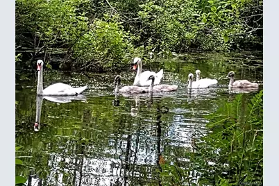 93 Cross Pond Road, Pound Ridge, NY 10576 - Photo 36