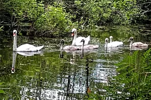 93 Cross Pond Rd, Pound Ridge, NY 10576 - Photo 36