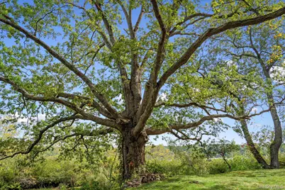 93 Cross Pond Road, Pound Ridge, NY 10576 - Photo 34