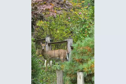 21 County Road 164, Jeffersonville, NY 12748 - Photo 10