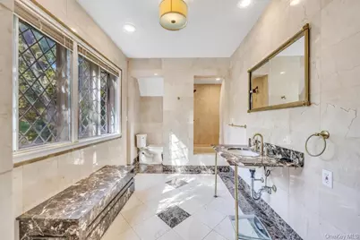 65 Clover Drive, Great Neck, NY 11021 - Photo 22