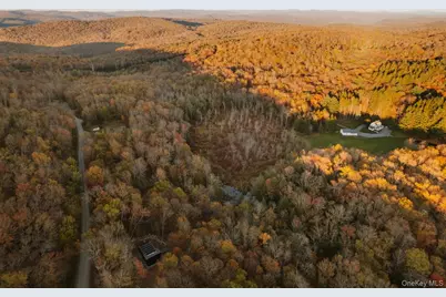 190 Bowers, Roscoe, NY 12776 - Photo 28