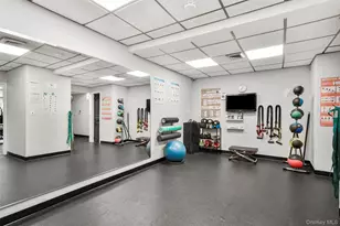 315 Palmer Terrace, Mamaroneck, NY 10543 - Photo 18