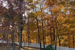 11 Pacer Ct, Goshen, NY 10924 - Photo 46