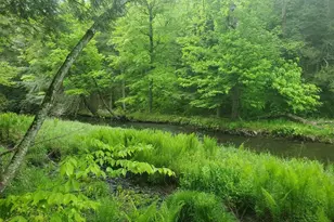 Tbd Creamery Rd, Mongaup Valley, NY 12720 - Photo 2