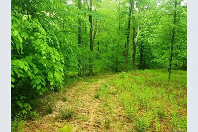 Tbd Creamery Road, Mongaup Valley, NY 12720 - Photo 8