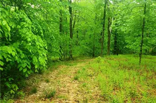 Tbd Creamery Rd, Mongaup Valley, NY 12720 - Photo 8