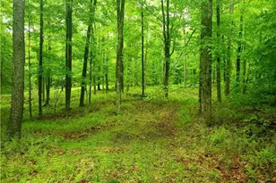 Tbd Creamery Rd, Mongaup Valley, NY 12720 - Photo 12