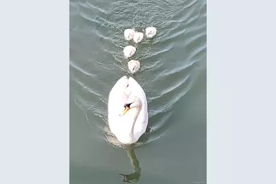 210 Saratoga Boulevard, Island Park, NY 11558 - Photo 40