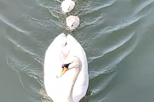 210 Saratoga Blvd, Island Park, NY 11558 - Photo 40