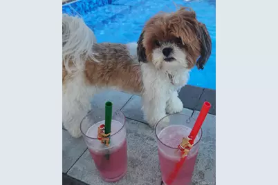 210 Saratoga Boulevard, Island Park, NY 11558 - Photo 42