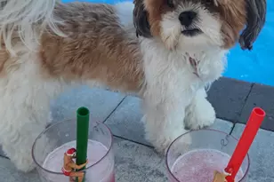 210 Saratoga Blvd, Island Park, NY 11558 - Photo 42