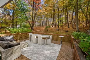 341 Millwood Rd, Chappaqua, NY 10514 - Photo 36