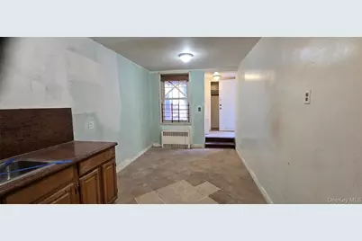 1161 E 101st Street, Brooklyn, NY 11236 - Photo 22