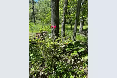 792 Briggs Highway, Ellenville, NY 12428 - Photo 4