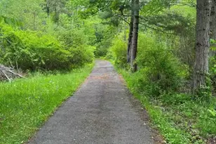 792 Briggs Hwy, Ellenville, NY 12428 - Photo 6