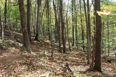 Peakville Road, Roscoe, NY 13783 - Photo 24