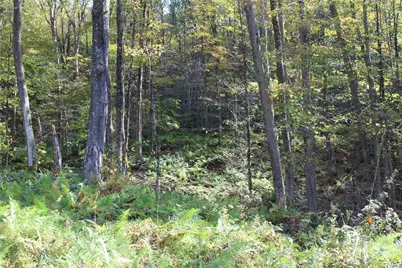 Peakville Road, Roscoe, NY 13783 - Photo 10