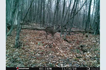 Peakville Road, Roscoe, NY 13783 - Photo 22