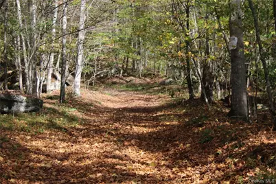 Peakville Road, Roscoe, NY 13783 - Photo 2