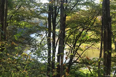 Peakville Road, Roscoe, NY 13783 - Photo 14