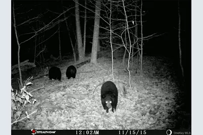 Peakville Road, Roscoe, NY 13783 - Photo 18