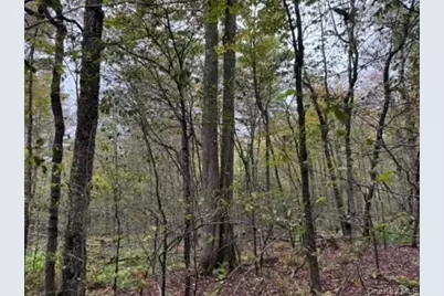 Little Ireland Road, Livingston Manor, NY 12758 - Photo 8