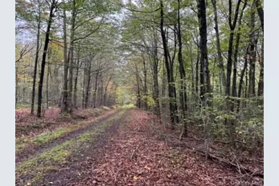 Little Ireland Road, Livingston Manor, NY 12758 - Photo 2