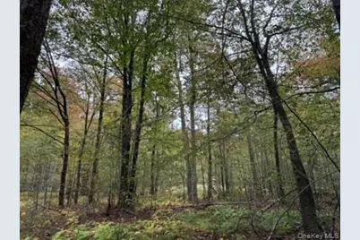 Little Ireland Road, Livingston Manor, NY 12758 - Photo 4