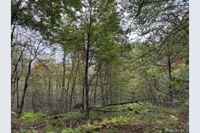 Little Ireland Road, Livingston Manor, NY 12758 - Photo 12