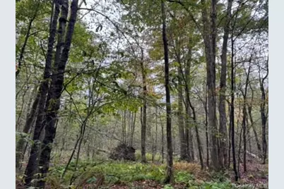 Little Ireland Road, Livingston Manor, NY 12758 - Photo 10