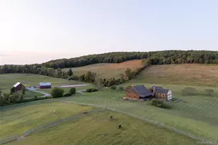 118 Finkle Rd, Ancramdale, NY 12503 - Photo 40