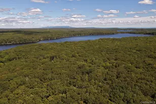 288 S Shore Shore Dr, Wurtsboro, NY 12790 - Photo 34