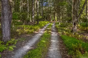 101 Lackawack Hill Rd, Napanoch, NY 12458 - Photo 2