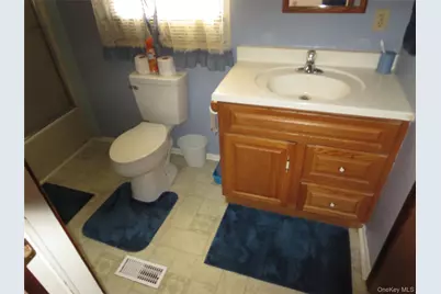 108 Bluebird Way, Dover Plains, NY 12522 - Photo 16