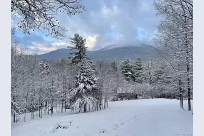 26 Carle Road, Mount Tremper, NY 12457 - Photo 34