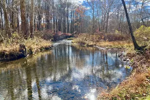 28 Clinton Corners Rd, Salt Point, NY 12578 - Photo 38