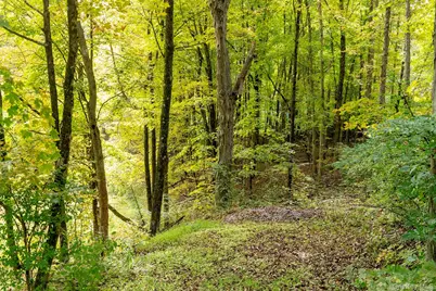 28 Clinton Corners Road, Salt Point, NY 12578 - Photo 34